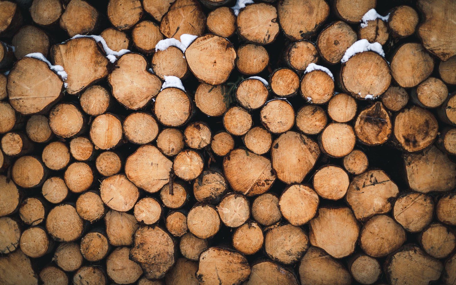 Stacked tree logs of varying diameters with patches of snow on top