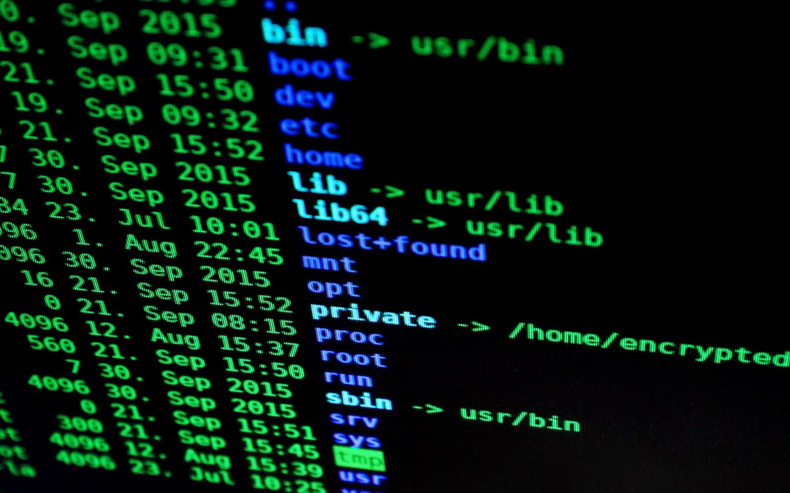 A licence file — its SPDX header and copyright notice clearly visible — displayed in a terminal window on a large monitor, shot at an angle that shows both the text and the room behind it